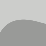 Placeholder Logo